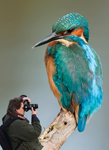 Fotografie