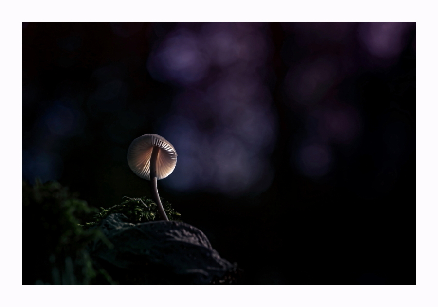 Week 41 - Hoedje