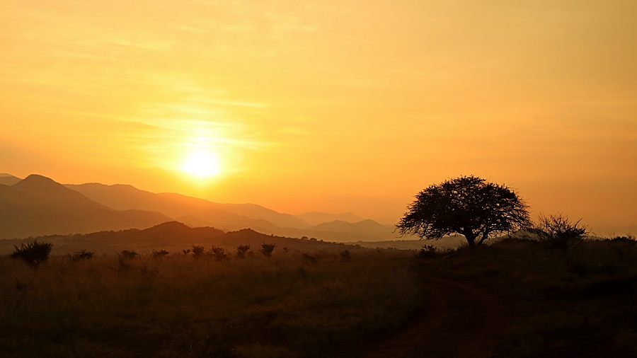 Week 32 - Zonsopkomst in Nkomazi