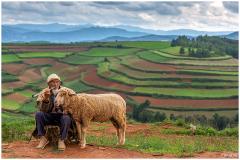 Week 1 - Dongchuan rode aarde