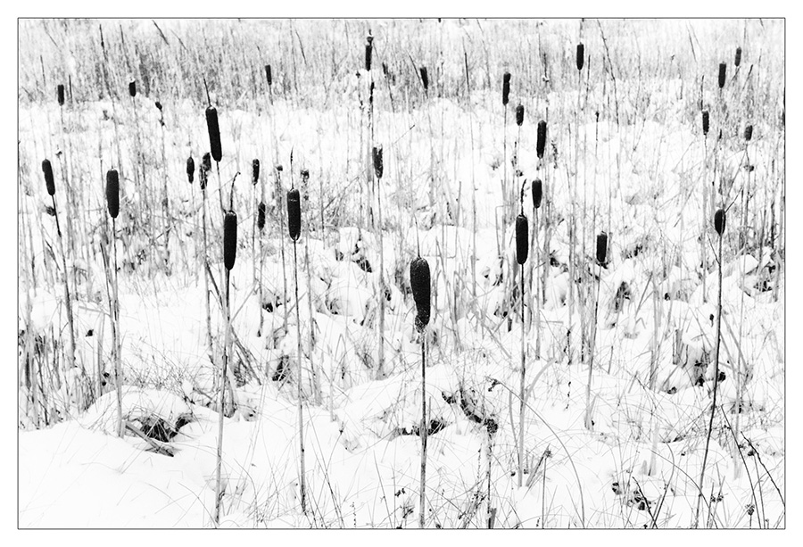 Wk41 winter