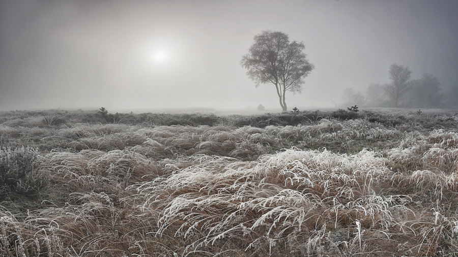 Wk 48 een heerlijk koude ochtend
