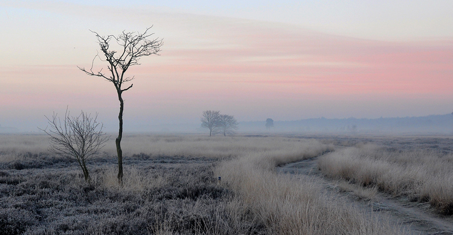 Jan - Wintertijd