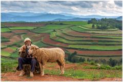 Week 1 - Dongchuan rode aarde