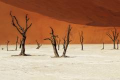 Week 8 - Dead Vlei II