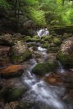 Week 35 - Waterval in de Jura