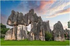 Week 27 - Stone forest