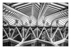 Week13 Calatrava