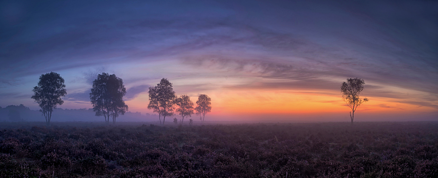 Wk39 ...Zonsopkomst...