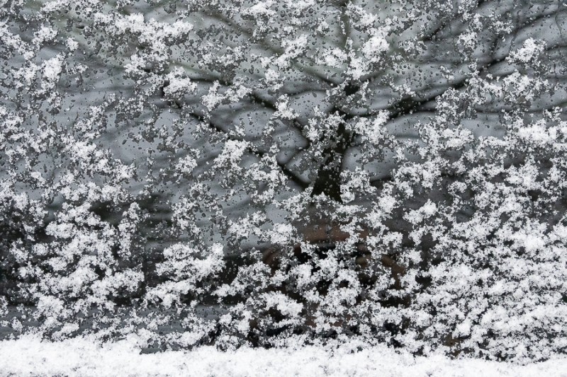 maandopdracht Febr. 2026 Tony