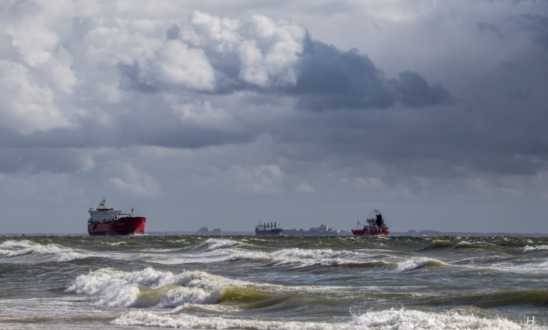 Flinke wind aan de Westerschelde.