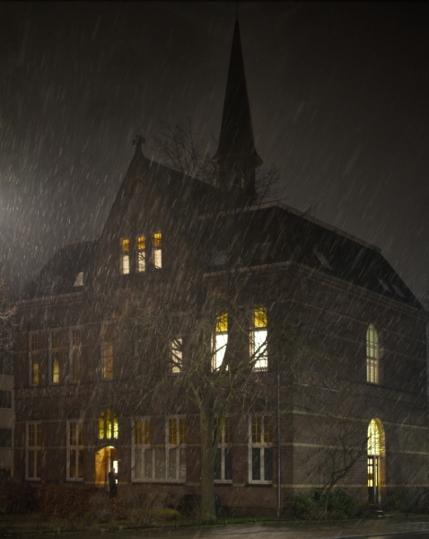 Hondenweer+update