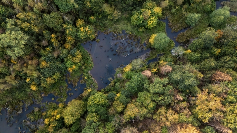 Le Parc naturel des deux Ourthes